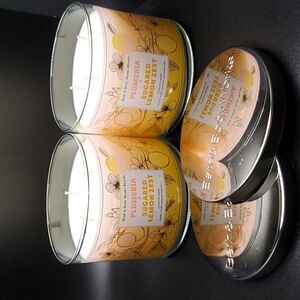 2pc Plumeria & Sugared Lemon Zest 3-Wick Candles -- New!!